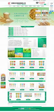 信陽網站推廣品牌有哪些 春陽電子 信陽網站推廣效果好