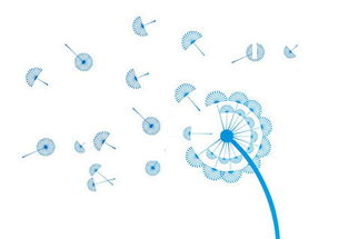 攜手長春網(wǎng)站建設(shè)，打造企業(yè)專屬的數(shù)字化門戶